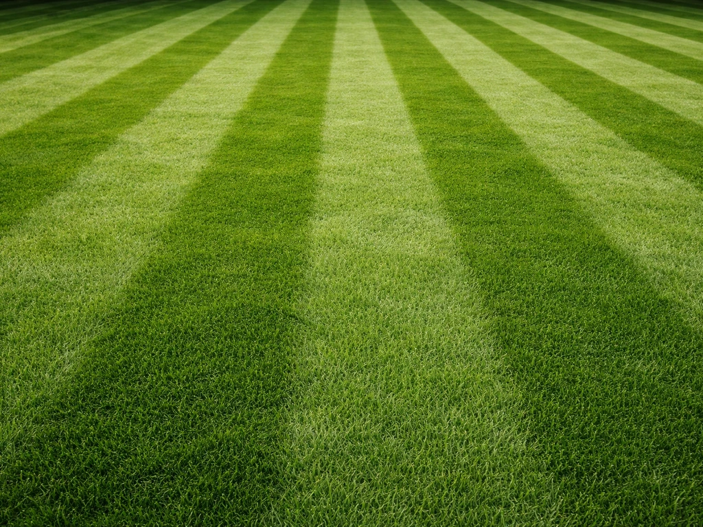 Close-up van een gazon met duidelijk zichtbare licht-donkere grass stripes in lengterichting.