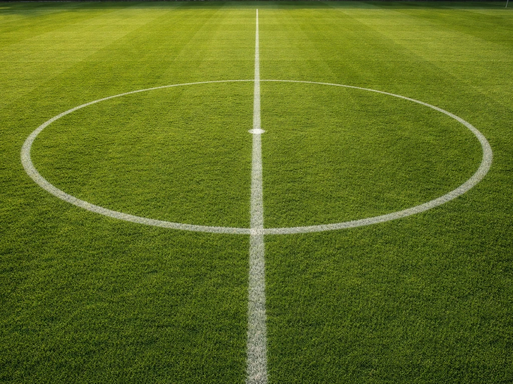 Gras van sportvelden: aanleg, onderhoud en herstel in NL