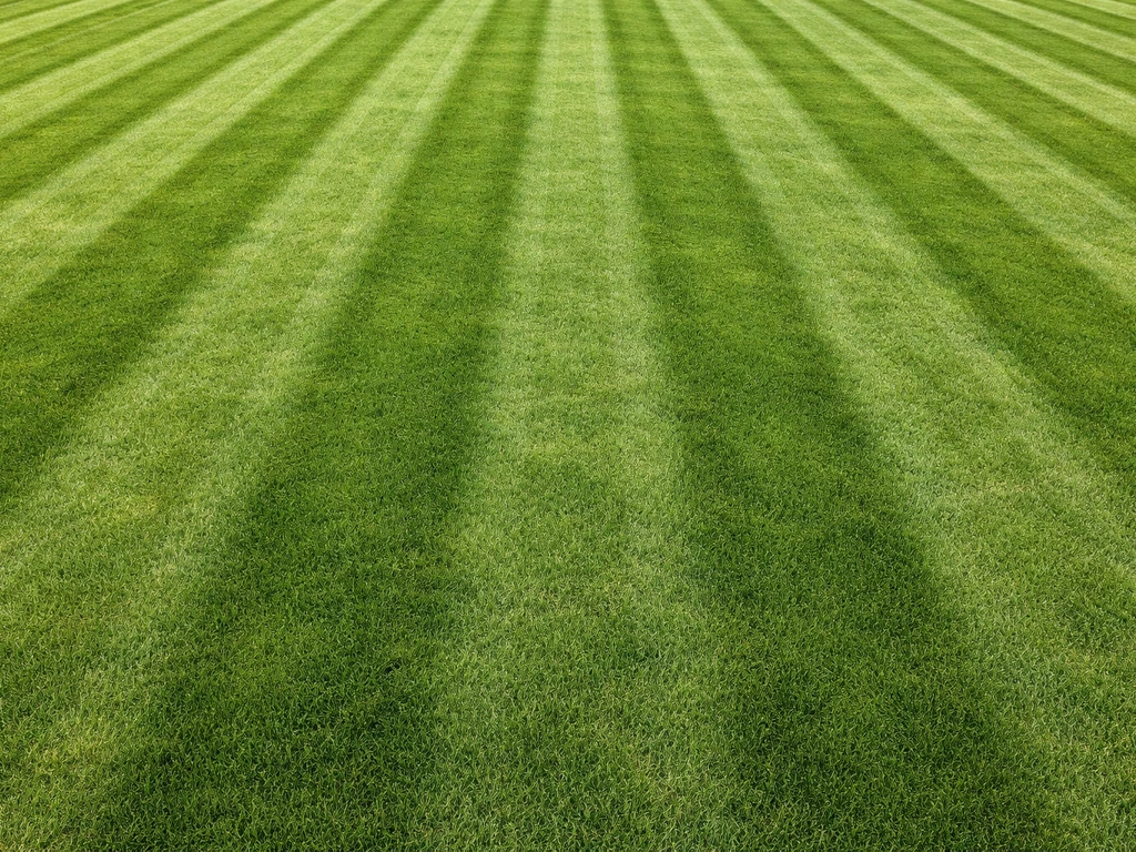 Banen in gras maaien: gids voor strakke strepen en onderhoud